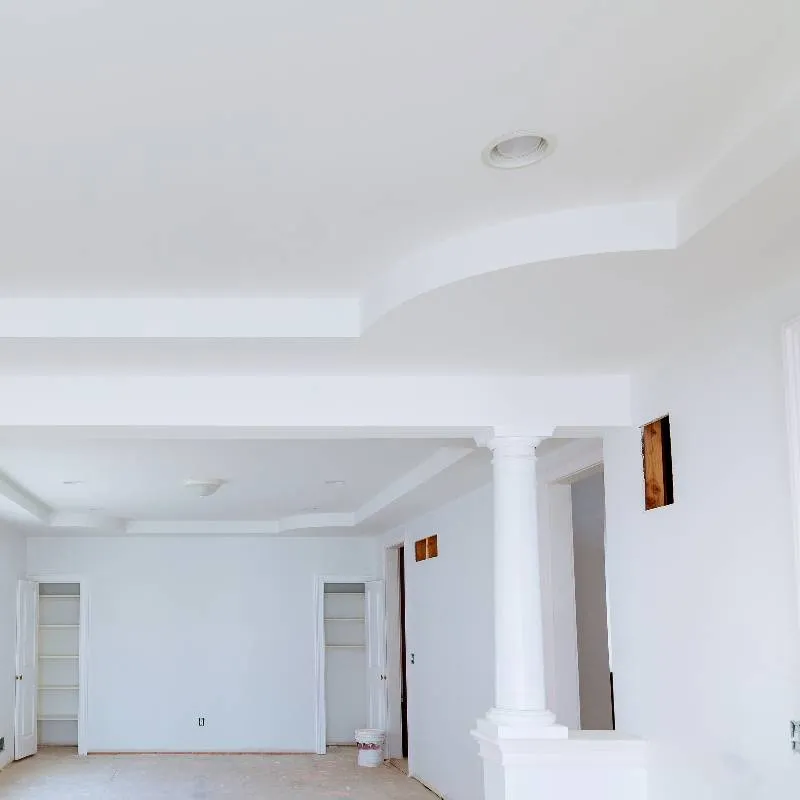 Ornate Ceiling Design In New White Room 2026 03 25 00 38 02 Utc project by Business in Colorado - Portfolio 10