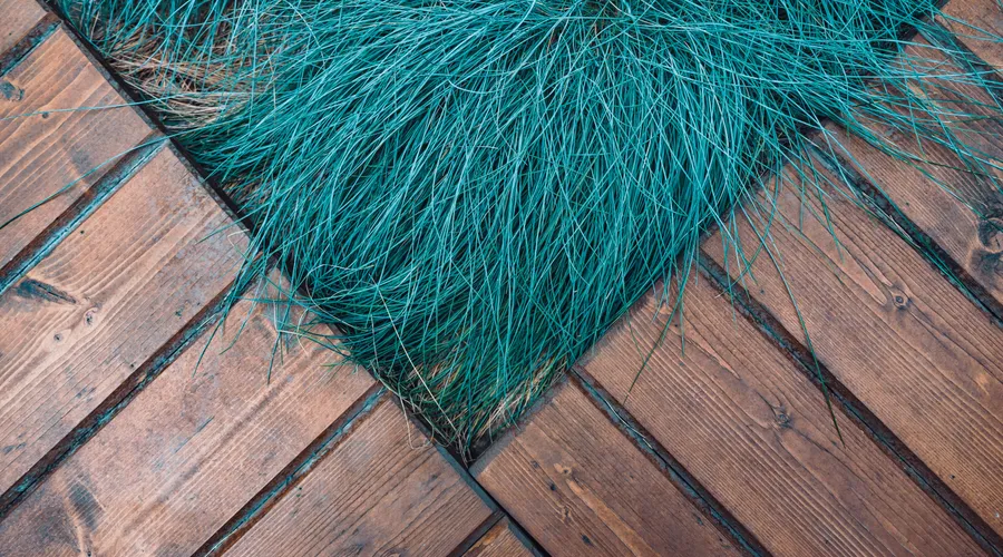 Roller 4: Deck-Specific Stain Roller Covers - Colorful blue grass contrasting a rustic wooden deck in a diagonal composition